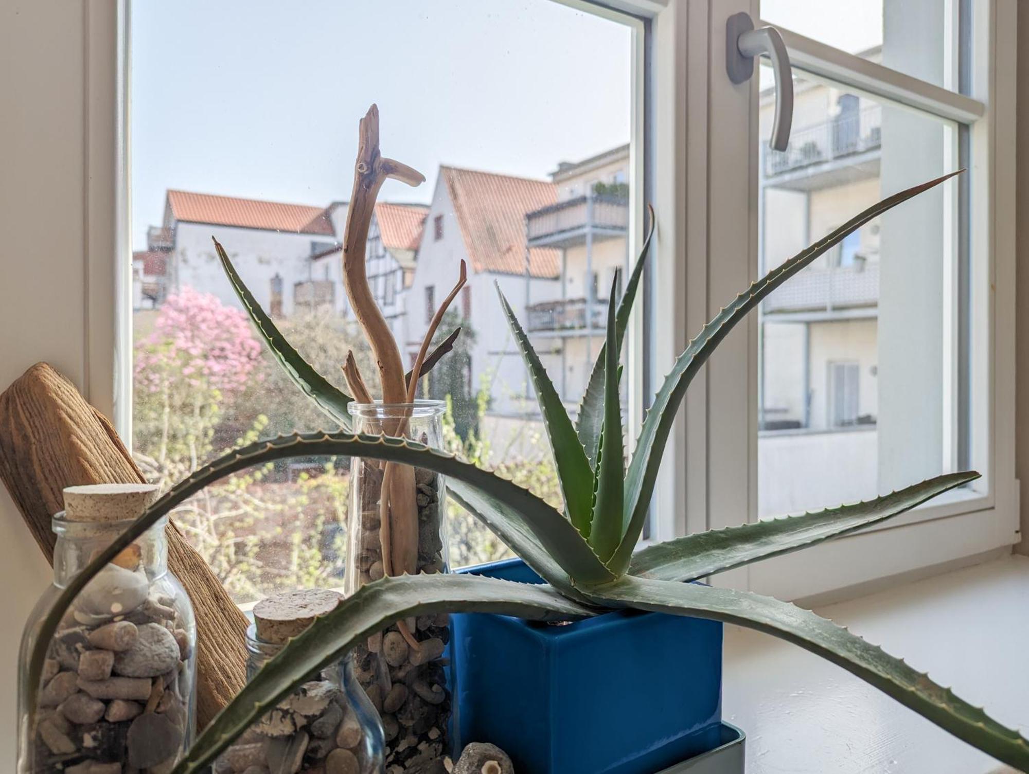 Strelapartment By Meinke Mitten In Der Altstadt Stralsund Kültér fotó